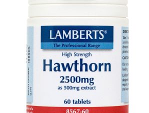 Lamberts Hawthorn Συμπλήρωμα Διατροφής με Εκχύλισμα Κράταιγου με Καρδιοτονωτικές Ιδιότητες 2500mg, 60tabs